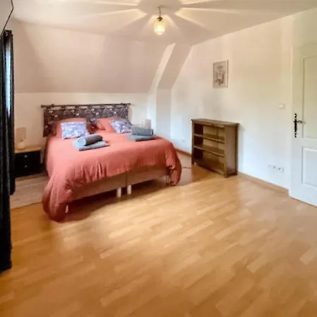 Pet Friendly In Tremolat