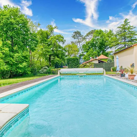 Pet Friendly In Tremolat
